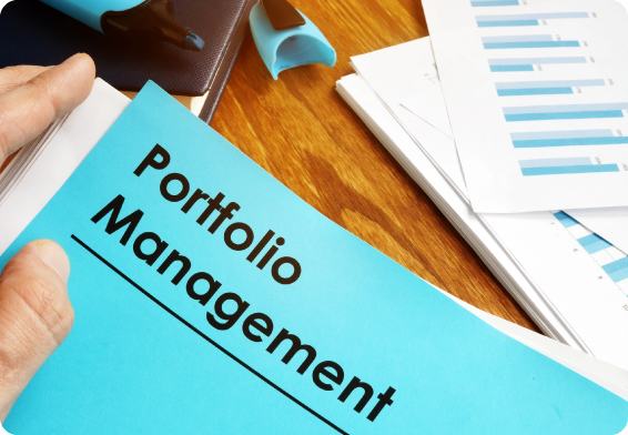 Comprehensive Portfolio Management